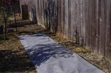 HOMEGROWN Life: The Potato Bin Experiment Image